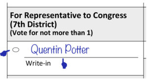 Picture of Sample Write-in Ballot